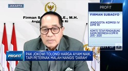 Peternak Rakyat 