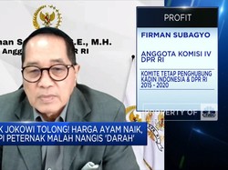 Peternak Rakyat "Kalah" Dengan Peternak Besar, Ini Kata DPR!