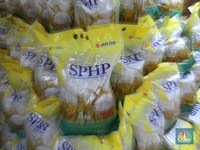 Harga Beras Terbang, Begini Respons Bulog