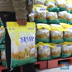 Harga Beras Masih Membandel, Jokowi Turun Tangan!