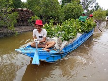 Dukung Rehabilitasi DAS, PTBA Perluas Pusat Persemaian