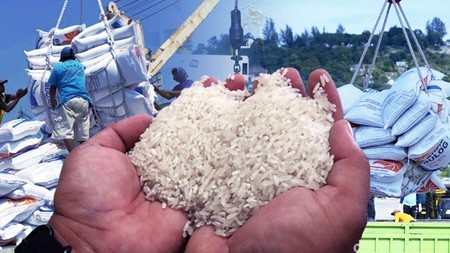 Kacau Lagi Panen Raya, RI Mau Impor Beras Lagi 
