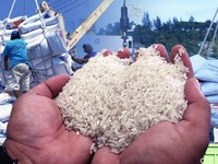 Indonesia Negara Darurat Impor Pangan!