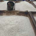Harga Beras Masih Liar, Ternyata Ini Biang Keroknya