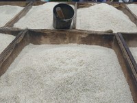 Pedagang Beras Bantah Ada Spekulan, Ngaku Sulit Beli Beras Bulog