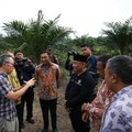 OJK Dorong Peningkatan Akses Pendanaan Petani Sawit