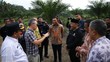 OJK Dorong Peningkatan Akses Pendanaan Petani Sawit