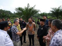 OJK Dorong Peningkatan Akses Pendanaan Petani Sawit