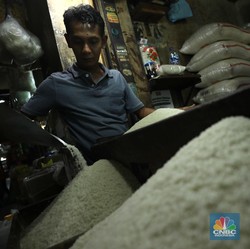 Miris Kondisi RI: Stok Beras Cekak & Mau Habis