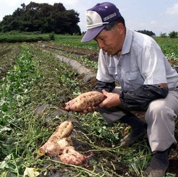 5 Makanan Jepang yang Bisa Bikin Panjang Umur, Pernah Coba?