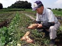 5 Makanan Jepang yang Bisa Bikin Panjang Umur, Pernah Coba?