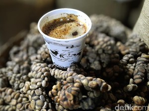 Kopi Arabika Argopuro, Jejak Rasa dari Lereng Gunung Legendaris