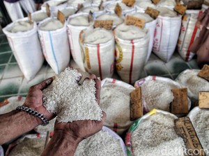 Opsi Impor 1 Juta Ton Beras, DPR Minta Serap Gabah Petani Dahulu