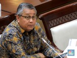 Jika Terpilih Jadi Gubernur BI, Perry Warjiyo: No Honeymoon