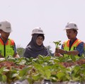 Wujudkan Tambang Berkelanjutan, Grup MIND ID Lakukan Ini