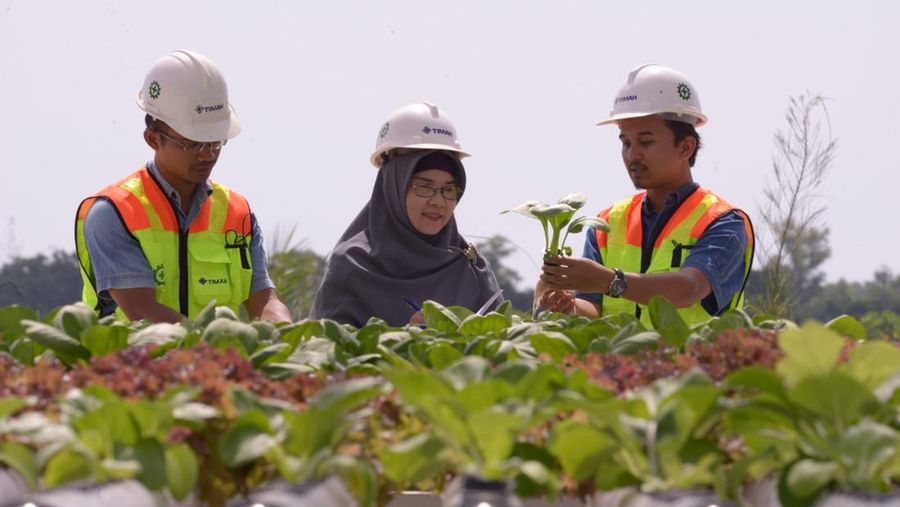 Grup MIND ID Wujudkan Tambang Berkelanjutan melalui Penanaman Bibit Pohon