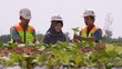 Wujudkan Tambang Berkelanjutan, Grup MIND ID Lakukan Ini