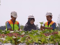 Wujudkan Tambang Berkelanjutan, Grup MIND ID Lakukan Ini
