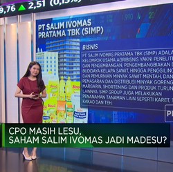 Harga CPO Lesu, Saham Salim Ivomas Jadi 