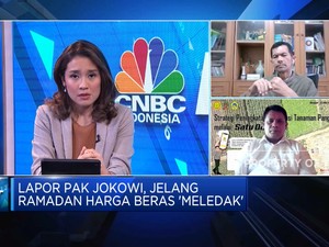 Cegah Harga Beras Melonjak, Pengawasan Distribusi Diperketat!