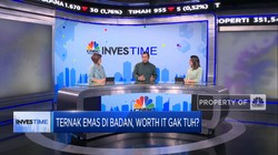 Dulang Cuan Investasi Emas Perhiasan Vs Batangan, Pilih Mana?