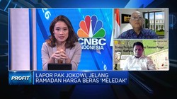 Harga Beras Masih Tinggi Jelang Ramadan, Ini 2 Penyebabnya