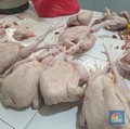 Bunda Sabar Ya, Harga Daging Ayam Kian Mahal, Tembus Rp37.000