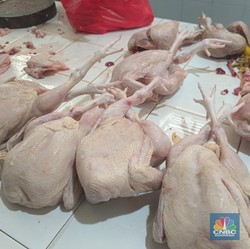 Bunda Sabar Ya, Harga Daging Ayam Kian Mahal, Tembus Rp37.000