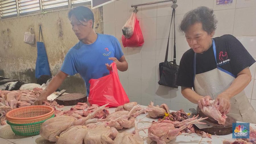 Harga daging ayam stabil jelang puasa. Harganya bervariasi mulai dari Rp 35.000 /ekor hingga Rp 47.000 /ekor. (CNBC Indonesia/Martyasari Rizky)