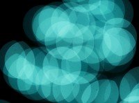 Apa Itu Efek Bokeh dan Cara Setel Pakai Kamera HP