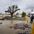 California Diterjang Badai! 5 Orang Tewas, Ada Tertimpa Pohon