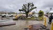 California Diterjang Badai! 5 Orang Tewas, Ada Tertimpa Pohon
