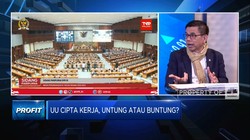 Alasan Demokrat Tolak Pengesahan Perppu Ciptaker Jadi UU