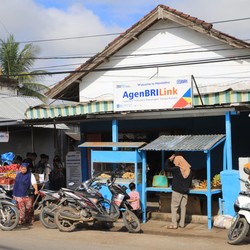 AgenBRILink Ini Kenalkan Layanan Bank di Desa Lasitae