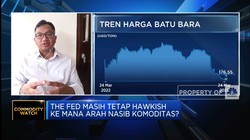 Harga Komoditas Melemah di 2023, Nasib Neraca Dagang Gimana?