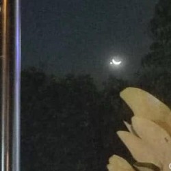 Keajaiban Ramadan 5 Planet Sejajar Bulan, Ini Penjelasan BRIN
