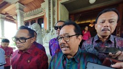 Kampung Bule Ubud Jadi Sorotan, Wagub Cok Ace: Kami Tertibkan