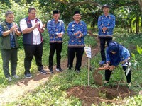 Sampoerna Beri 1.000 Bibit Mangga ke Desa Wisata di Karawang