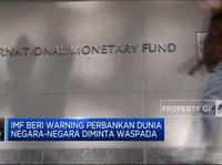 Video: IMF Beri Warning Perbankan Dunia, Soal Apa?