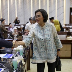 DPR Curhat ke Sri Mulyani, Masih Banyak 'Rafael' Lain di DJP