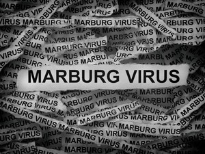 Wabah Marburg Menyebar di Banyak Negara Afrika, Traveler Waspada!