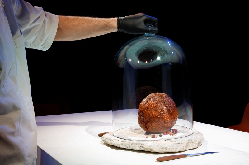 NETHERLANDS-MAMMOTH/ A meatball made from flesh cultivated using the DNA of an extinct woolly mammoth is presented at NEMO Science Museum created by a cultured meat company, in Amsterdam, Netherlands March 28, 2023. REUTERS/Piroschka van de Wouw
