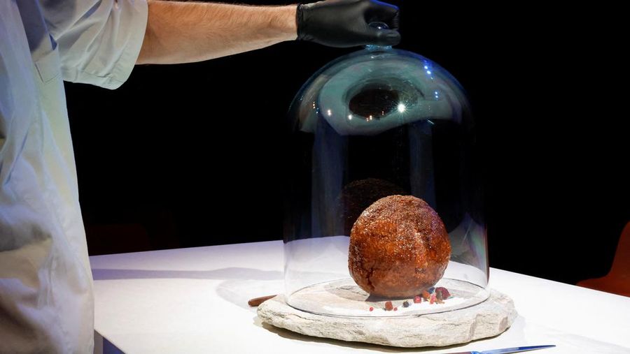 A meatball made from flesh cultivated using the DNA of an extinct woolly mammoth is presented at NEMO Science Museum created by a cultured meat company, in Amsterdam, Netherlands March 28, 2023. REUTERS/Piroschka van de Wouw