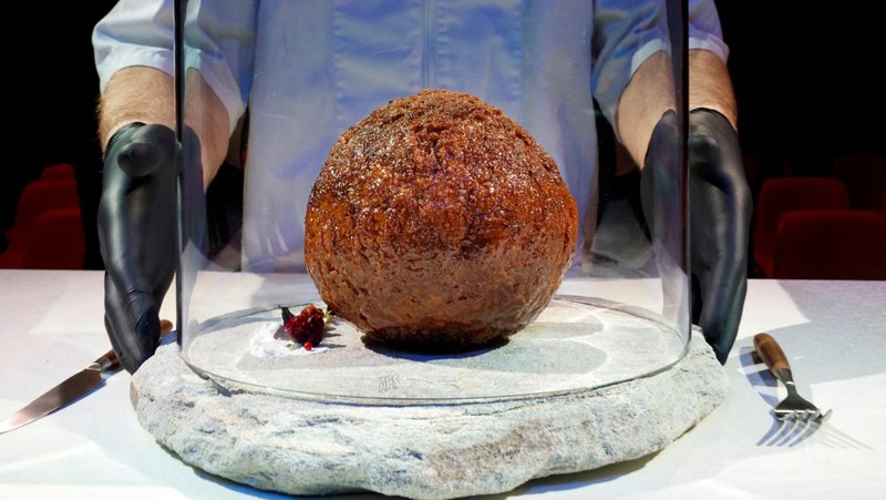A meatball made from flesh cultivated using the DNA of an extinct woolly mammoth is presented at NEMO Science Museum created by a cultured meat company, in Amsterdam, Netherlands March 28, 2023. REUTERS/Piroschka van de Wouw