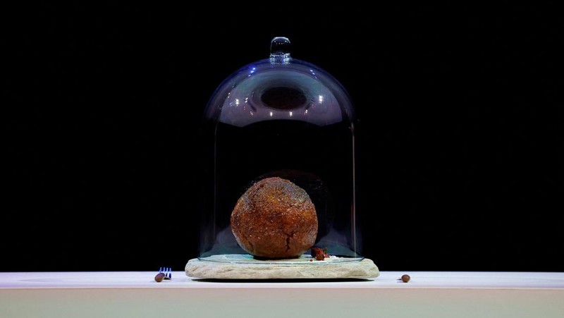 A meatball made from flesh cultivated using the DNA of an extinct woolly mammoth is presented at NEMO Science Museum created by a cultured meat company, in Amsterdam, Netherlands March 28, 2023. REUTERS/Piroschka van de Wouw