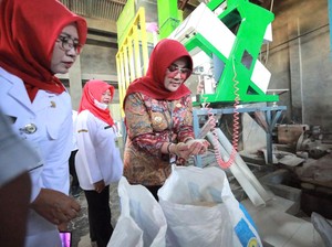 Upaya Pemkab Klaten Jaga Lumbung Pangan Nasional Tetap Surplus
