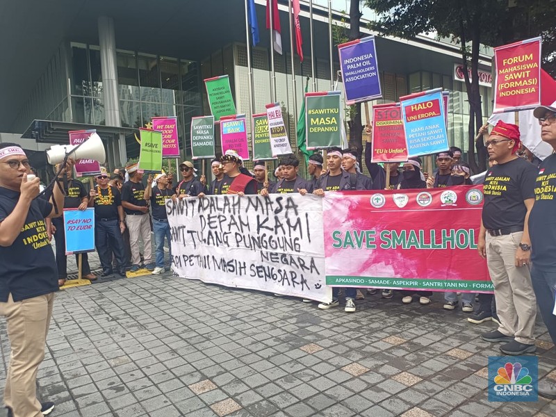 Puluhan Petani Sawit Demo Tolak UU Deforestasi Uni Eropa. (CNBC Indonesia/Martyasari Rizky )