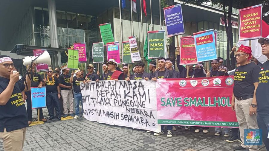 Puluhan Petani Sawit Demo Tolak UU Deforestasi Uni Eropa. (CNBC Indonesia/Martyasari Rizky )