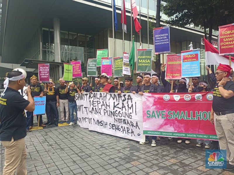 Puluhan Petani Sawit Demo Tolak UU Deforestasi Uni Eropa. (CNBC Indonesia/Martyasari Rizky )