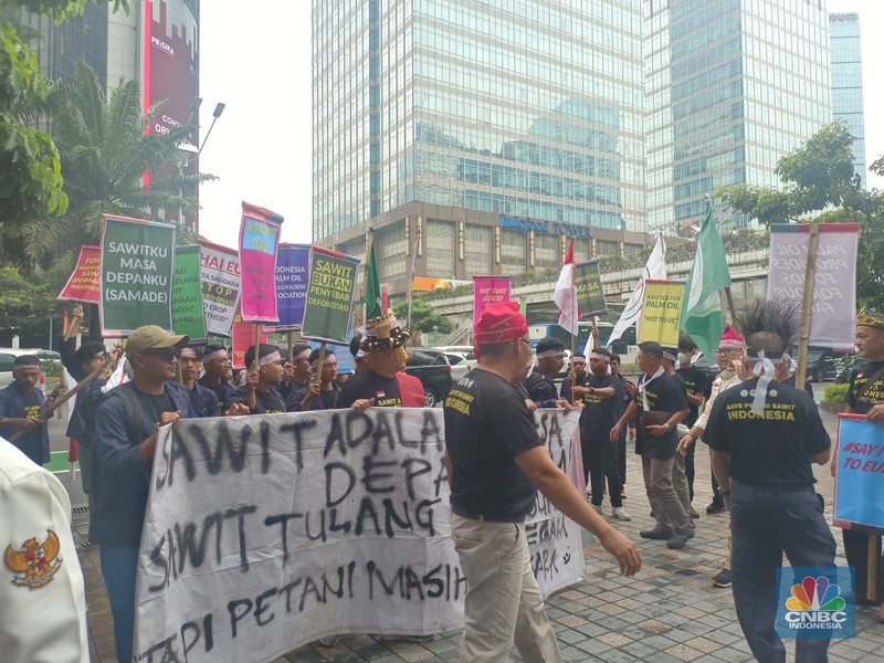 Puluhan Petani Sawit Demo Tolak UU Deforestasi Uni Eropa. (CNBC Indonesia/Martyasari Rizky )